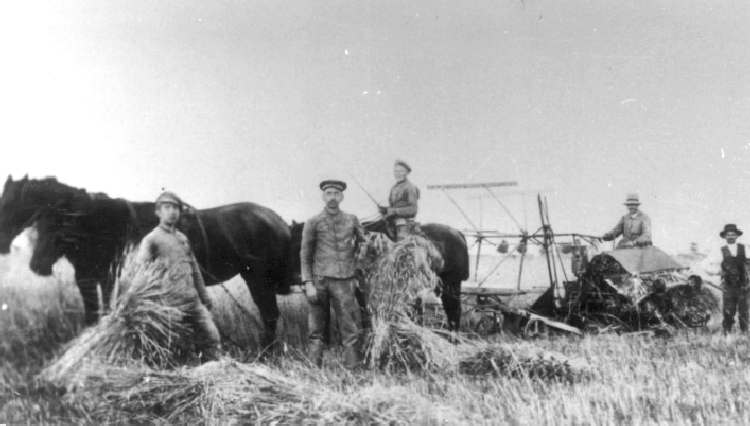 0410028 Hof Grapentin mit dem Selbstbinder bei der Ernte.jpg